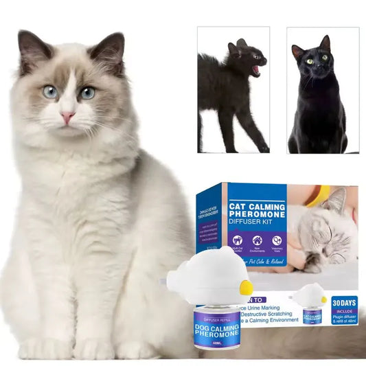 Spray Antiestres para gatos
