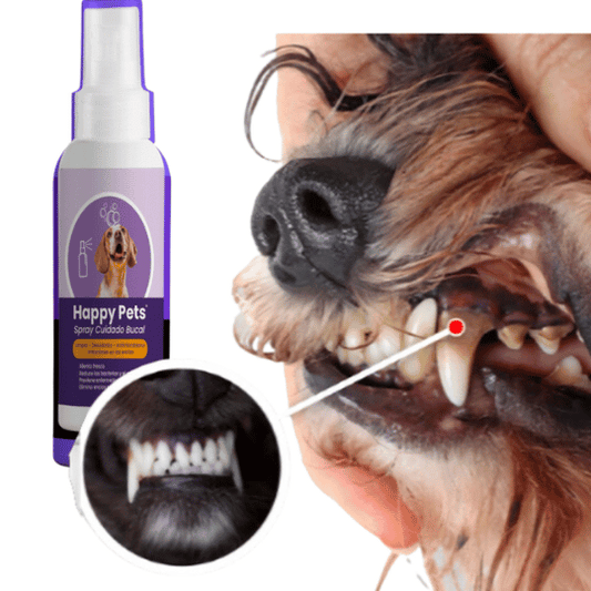 PETS DENTS: Cuidado bucal