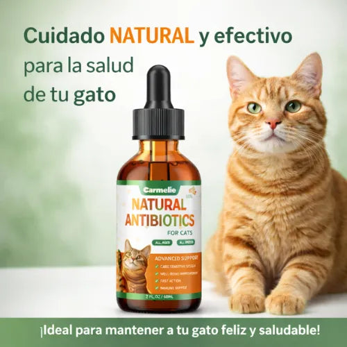 Quita las infecciones, alergias, picazón y ayuda al sistema inmunológico de tu gato