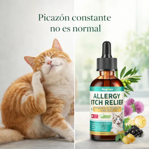 Elimina la picazón, los hongos, mal olor y las molestias de tu Gato