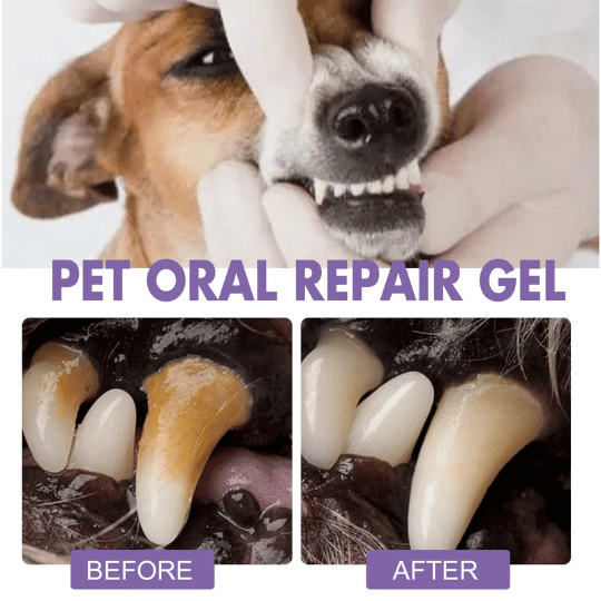 PETS DENTS: Cuidado bucal