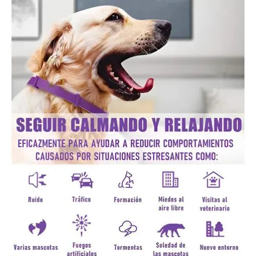 Collar Anti Estres para perros