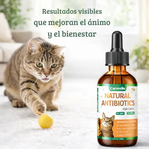 Quita las infecciones, alergias, picazón y ayuda al sistema inmunológico de tu gato