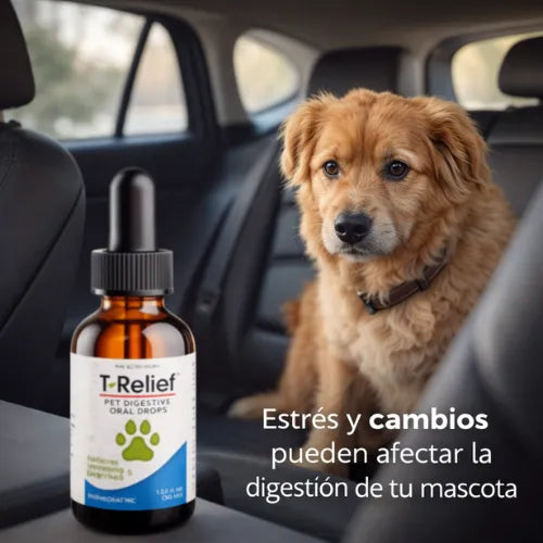 Alivio Completo Digestivo para Mascotas.