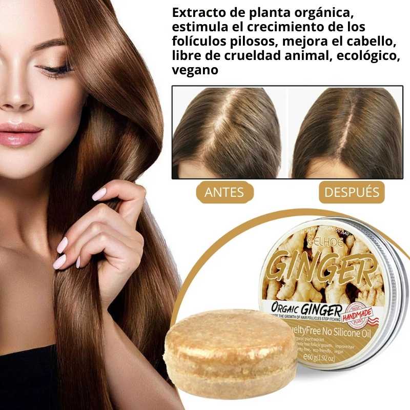 GingerBoost® - Controla la caída del cabello (100g)