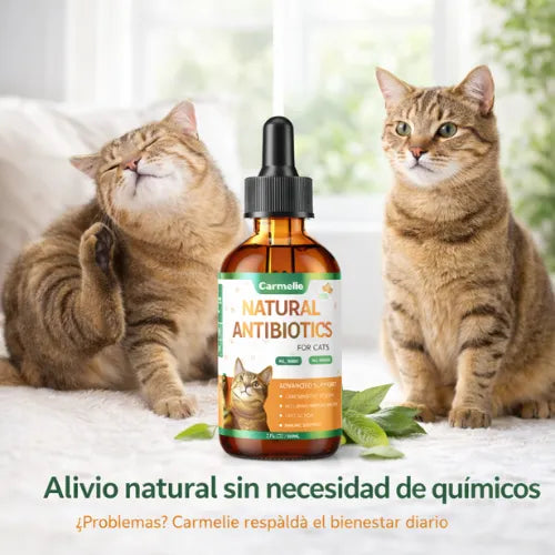 Quita las infecciones, alergias, picazón y ayuda al sistema inmunológico de tu gato