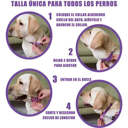 Collar Anti Estres para perros