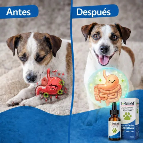 Alivio Completo Digestivo para Mascotas.