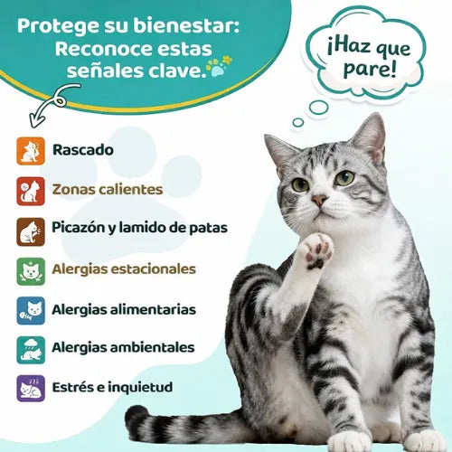 Elimina la picazón, los hongos, mal olor y las molestias de tu Gato