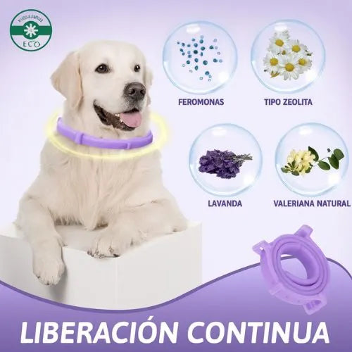 Collar Anti Estres para perros