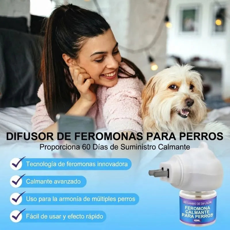 Detén los destrozos en casa calmando la ansiedad de tu perro