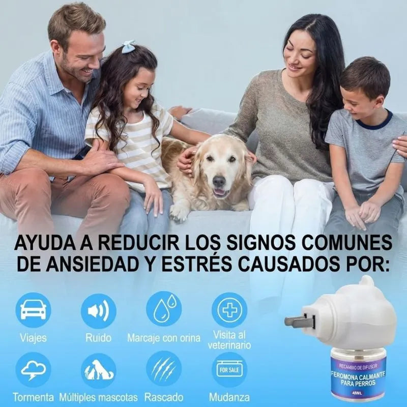 Detén los destrozos en casa calmando la ansiedad de tu perro