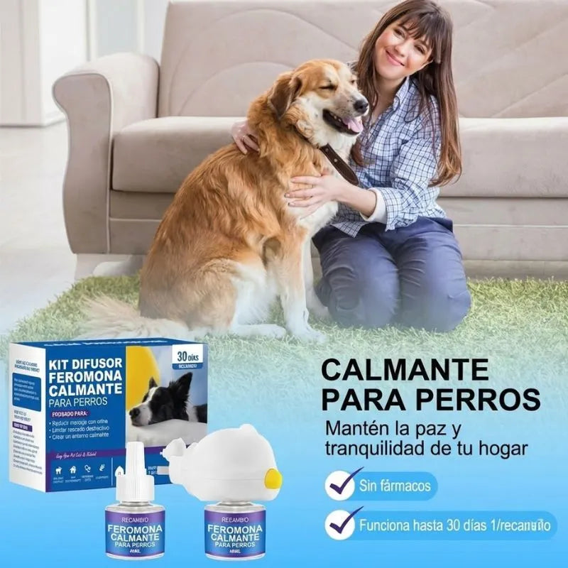Detén los destrozos en casa calmando la ansiedad de tu perro