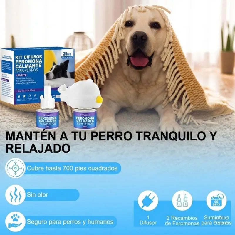 Detén los destrozos en casa calmando la ansiedad de tu perro