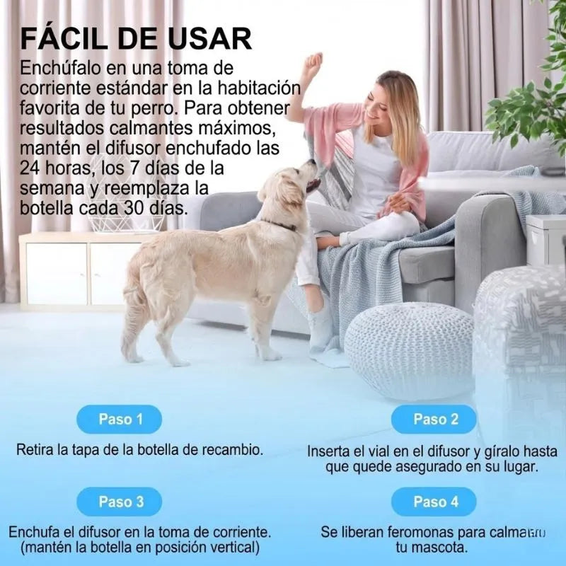 Detén los destrozos en casa calmando la ansiedad de tu perro