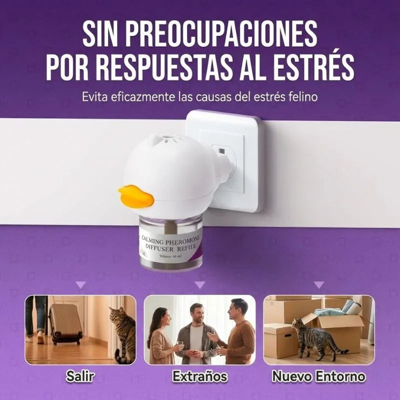 Detén los rasguños, maullidos y el estrés de tu gato